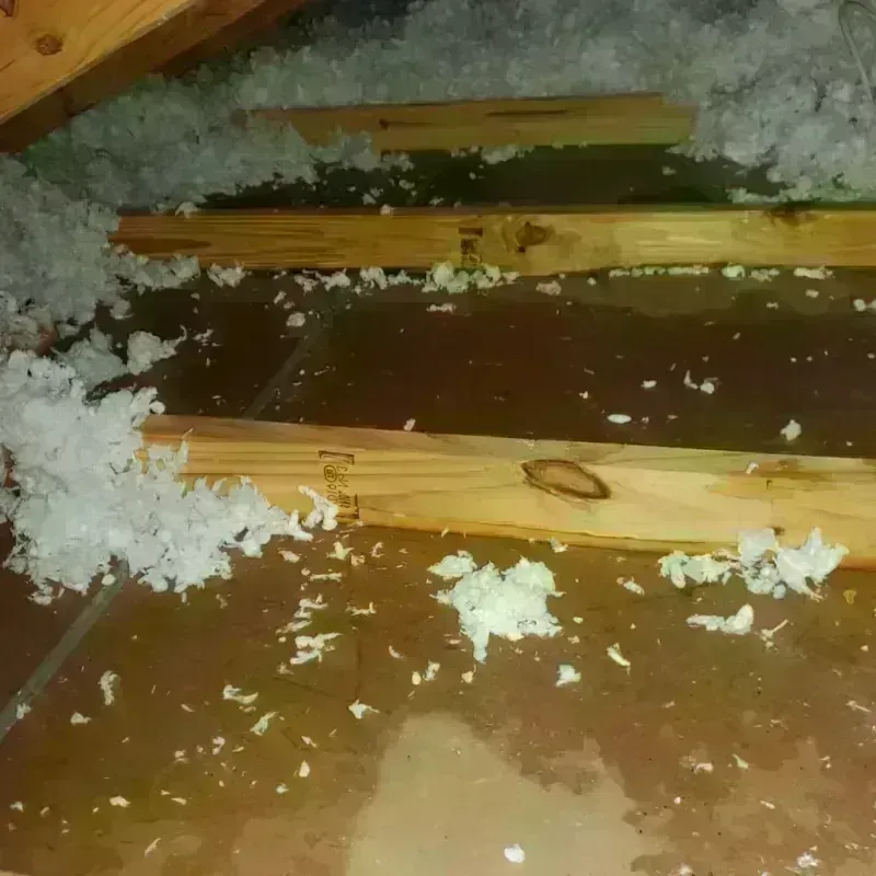 Attic Water Damage in Dallas, GA