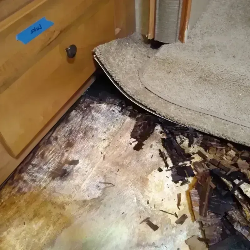 Wood Floor Water Damage in Dallas, GA